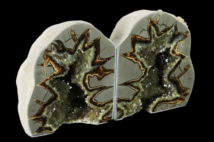 Tall, Crystal Filled Septarian Geode Bookends - Utah #160167